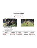 Preparatoria N°6 ¿Cómo se quiere hacer?