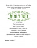 Plan de negocios de la empresa comercializadora de muebles con materiales reciclados