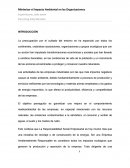 Gestion Ambiental. La preocupación por el cuidado del entorno se ha esparcido por todos los continentes
