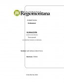 Derechos humanos y la tolerancia