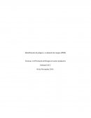 Técnicas en Prevención de Riesgos en sector productivo