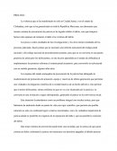 Desiciones judiciales. La violencia