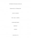 MURROS UNA HISTORIA DE DOLOR