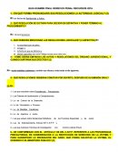 GUIA EXAMEN FINAL DERECHO PENAL RECURSOS 2016.