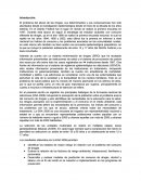 El problema del abuso de las drogas, sus determinantes y sus consecuencias