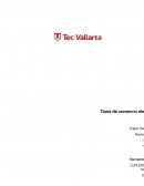 Comercio electronico tipos paginas