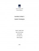 Estructura Financiera El financiamiento de distribuirá de la siguiente manera