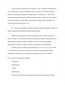 ¿Qué son actos de comunicación en el proceso, y cómo se clasifican?