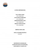 Trabajo de emprendimiento EMPRESA HENRY DP&S