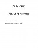 CAMPOS DE APLICACIÓN DE LA CRIMINALISTICA • LA ESCENA DEL DELITO • EL LABORATORIO • LA IDENTIFICACION