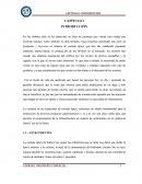 Comidas tipicas en bolivia