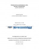 Pruebas de Evaluación Masivas