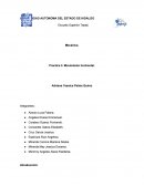 Mecánica. Practica 3. Movimiento horizontal.