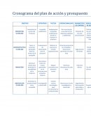 Cronograma del plan de acción y presupuesto
