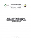 BLOQUE MULTINUTRICIONAL A BASE DE HINOJO (Foeniculum vulgare)