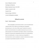 Análisis y expresión verbal