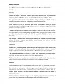 Noroeste Argentino - Sarasola