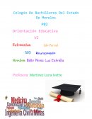 Entrevista Profesionista