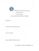 PLANEACIÓN DE VIDA Y TRABAJO