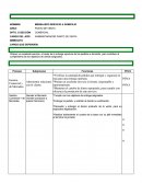 Ofrecer un excelente servicio, a través de la entrega oportuna de los pedidos a domicilio, para contribuir al cumplimiento de los objetivos de ventas asignados.