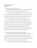 ¿Por qué es importante el diseño organizacional?