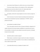 PREGUNTAS DE REPASO Y DISCUSIÓN Custom Fabricators, Inc.
