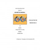 BIOLOGIA MOLECULAR. ADN MITOCONDRIAL