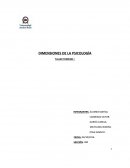 Dimensiones de la psicologia