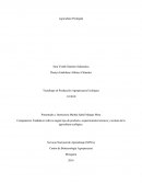 Competencia: Establecer cultivos según tipo de producto, requerimientos técnicos y normas de la agricultura ecológica..