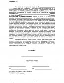 Tema- Carta Poder Laboral.