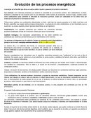 Evolución de los procesos energéticos
