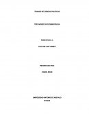 TRABAJO DE CIENCIAS POLITICAS- TRES MODELOS DE DEMOCRACIA.