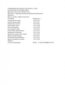 PRACTICA 2 “IDENTIFICACIÓN DE GRUPOS FUNCIONALES”.. Página 1