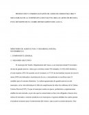 PRODUCCIÓN Y COMERCIALIZACIÓN DE CARNE DE CERDO PARA DIEZ Y SEIS FAMILIAS