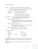 Conjunto de metas y planes para alcanzar una ventaja competitiva sustentable en el tiempo incluye asignación oportuna y eficiente de recursos.