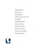 LA EVOLUCION DE LA BIOLOGIA