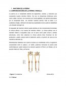 Composicion Osea y Muscular de la Pierna