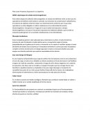 Plan Lector Proyectos Expuesto En La ExpoFeria