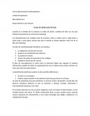 PLAN DE MERCADOTECNIA es un elemento lógico
