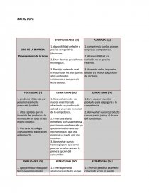 MATRIZ DOFA .Empresa. Procesamiento de la leche. Página 1