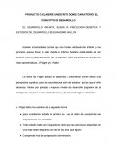 PRODUCTO #3 ELABORE UN ESCRITO DONDE CARACTERICE EL CONCEPTO DE DESARROLLO