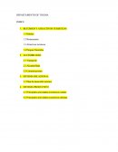 ECONOMIA DEL TURISMO TOLIMA