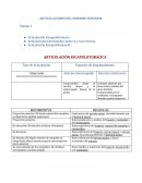 Articulaciones del miembro superior