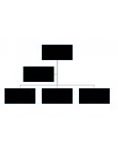 Mapas conceptuales constitucionales