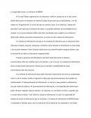 La Seguridad Social y la Gerencia de RRHH