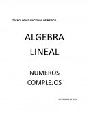 Numeros Complejos. ALGEBRA LINEAL