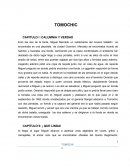 Sintesis del libro de tomochic