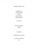 Analisis de puesto de trabajo. ORNAMENTACIONES LA PAZ