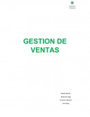 CREAR PROGRAMA VENTAS