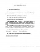 DERECHO DE AMPARO 1.- ¿Qué es el juicio de amparo?